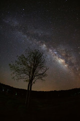 Fototapeta na wymiar Milky Way and silhouette of tree at Phu Hin Rong Kla National Pa