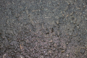 Wet concrete background 