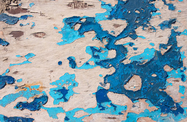 Grunge texture, blue paint peeling from wooden surface