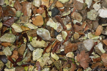 Stones background or texture