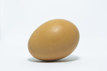 single egg