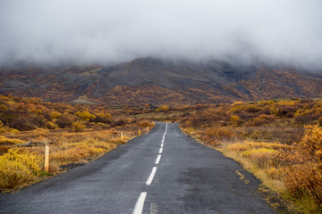 Empty road in autumn of Iceland