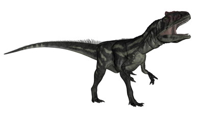 Obraz na płótnie Canvas Allosaurus dinosaur roaring - 3D render