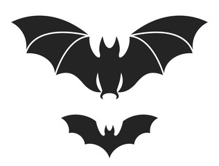 Bat