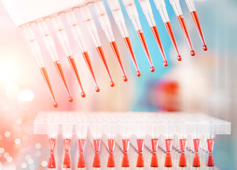 DNA amplification background