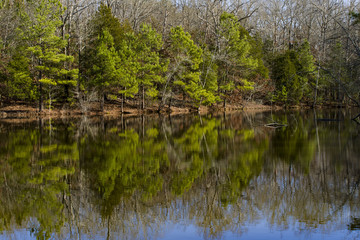 Fototapeta na wymiar Cedar Pond, Land Between The Lakes TN