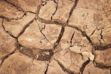 Texture of ground cracked for background