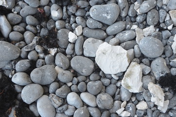 Trockene Steine am Steinstrand