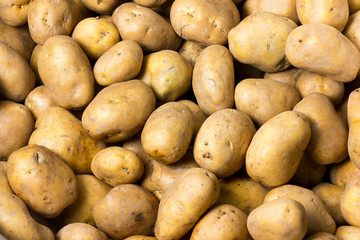 Heap of fresh potatoes, closeup, texture.