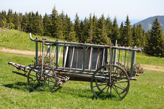 Pferdeanh&auml;nger mit Blumen