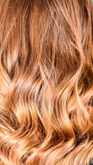 Naklejka premium Honey Balayage Hair Texture
