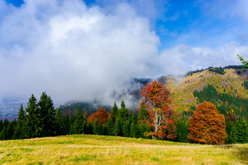 Autumn landscape