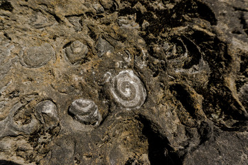 Old geologic snail hill