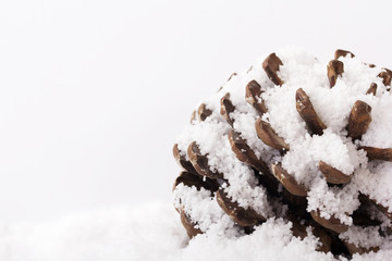 Pine cone covered in white fluffy snow