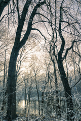 Blick auf Fluss im Winter