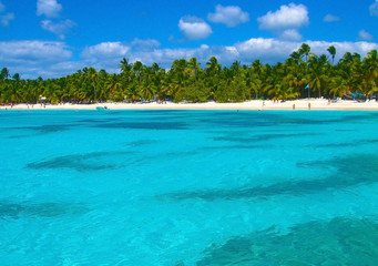 Fototapeta na wymiar Beach Dominicana on the tropical island. Clear blue water, sand and palm trees. Beautiful vacation spot, treatment and aquatics.