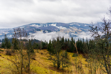 Fototapeta na wymiar Winter in carpathian mountains