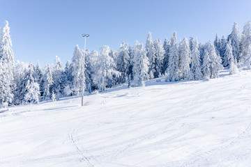 Obraz premium Winter landscape