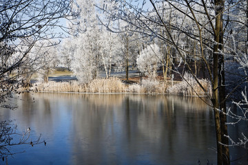 Beautiful view of Bavarian frozed lake among trees