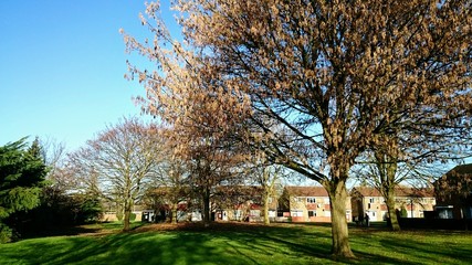 Typical English little square around residential properties 