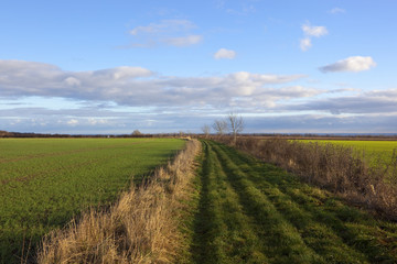 footpath through agriculture
