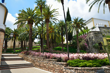Fototapeta na wymiar Palm park in the Spanish town