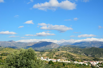 Fototapeta na wymiar Andalusian view with mountains Sierra Nevada in spring