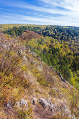 Fototapeta na wymiar Autumn landscape. View of the Siberian river Berd, from the rock