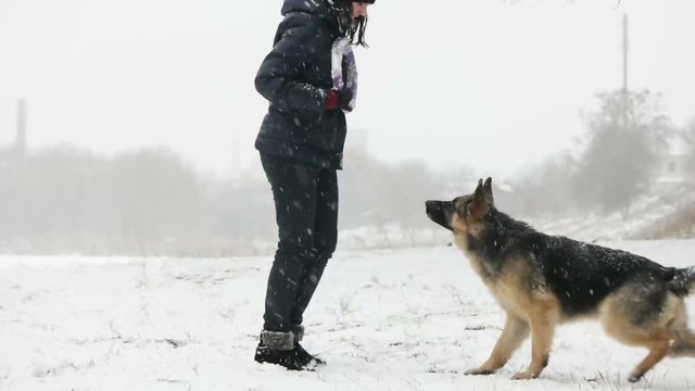 training dog, slow motion