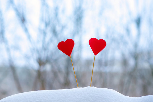 two beautiful hearts on a winter background