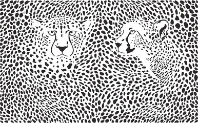 Cheetahs background with heads