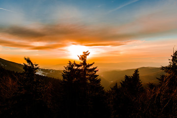 Obraz premium Morning fog