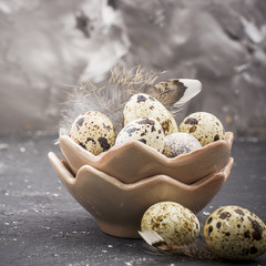 Quail eggs in the design of ceramic bowls in the form  broken shell with bird feathers on a dark...