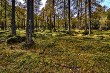 Obraz premium Autumn in the alps, Austria around the village Sillian
