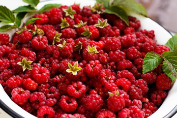 Juicy flavour organic maroon raspberry with grean leaves in white bowl
