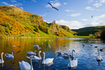 Edinburgh  -  spring travel destination in Scotland.
