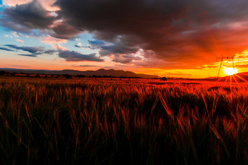 Naklejka premium Amazing sunset and clouds