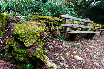 Springtime in the park