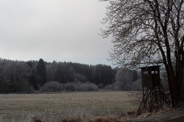hunters house on the field