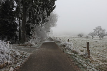 walkway and frosty weather