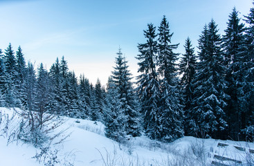 Fototapeta na wymiar Beautiful ski resort at carpathian mountains
