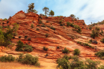 Felsformation im Zion Canyon 1