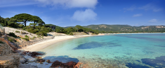 Fototapeta premium paradisiac beach