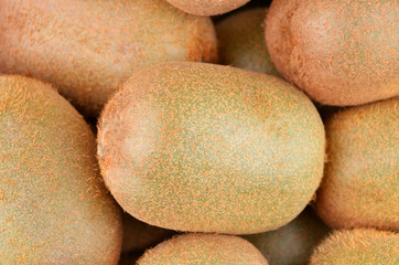 Green kiwi fruit (Actinidia deliciosa)