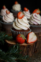 Chocolate cupcake in baking paper cups with cream and slice of strawberry. It is on the piece of wood, there is christmas tree branch