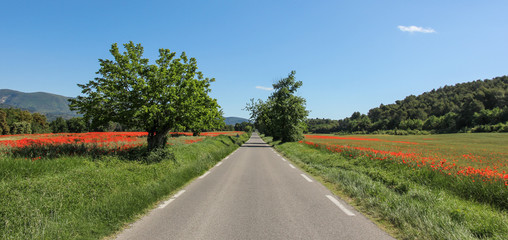 provence-01