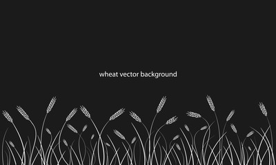 Fototapeta na wymiar Wheat field line border on black background.