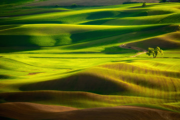 Rolling Shadows