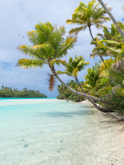 Palmenstrand auf Aitutaki