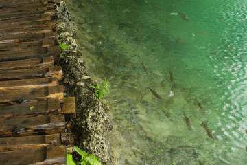 Plitvice lakes in the rain, Croatia, natural park